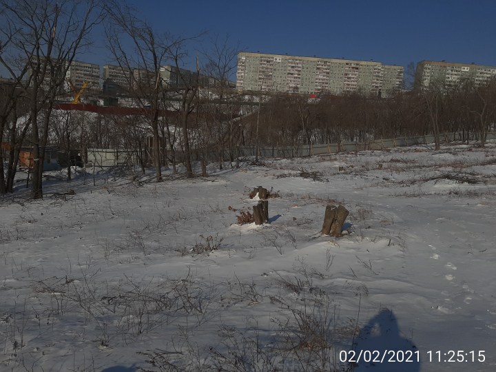 Жилой комплекс Южный, Февраль, 2021